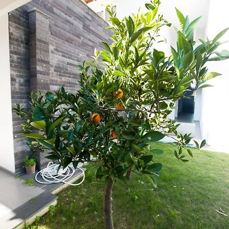 1 Bedroom Seafront Apart W/pool, Garden, Free Wifi Apartament